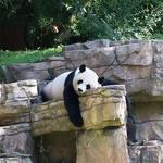 Smithsonian National Zoological Park