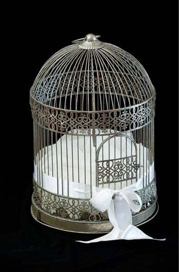 The Wedding Website of Anthony Menna and Riya Pradhan