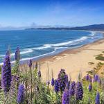 Stinson Beach