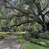 Harry P Leu Gardens