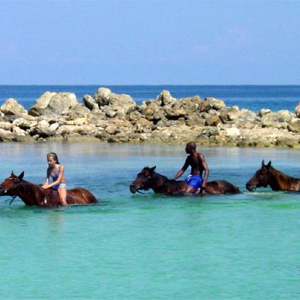 Horseback Ride N Swim Honeymoon Excursion
