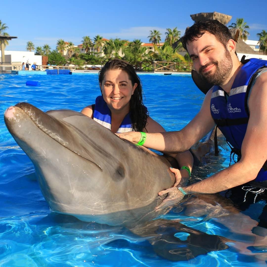 San Jose del Cabo dolphins