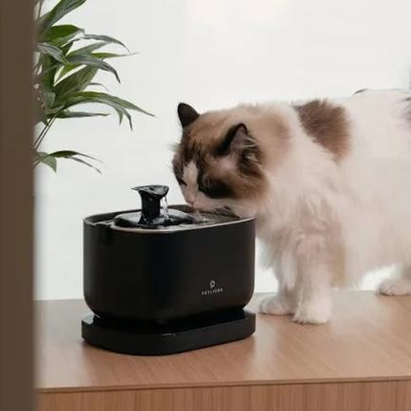 Petlibro Dockstream Smart Fountain