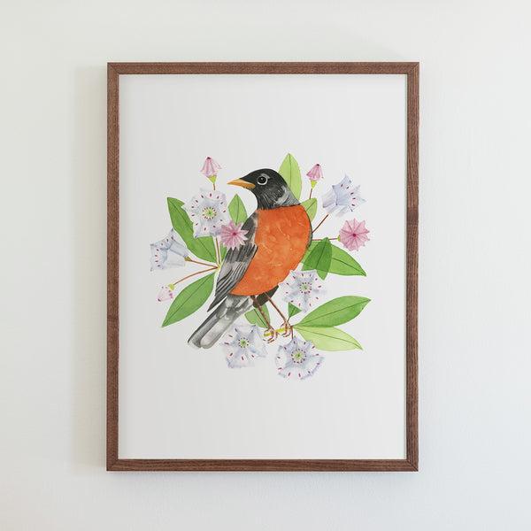 Connecticut American Robin Print (18x24)