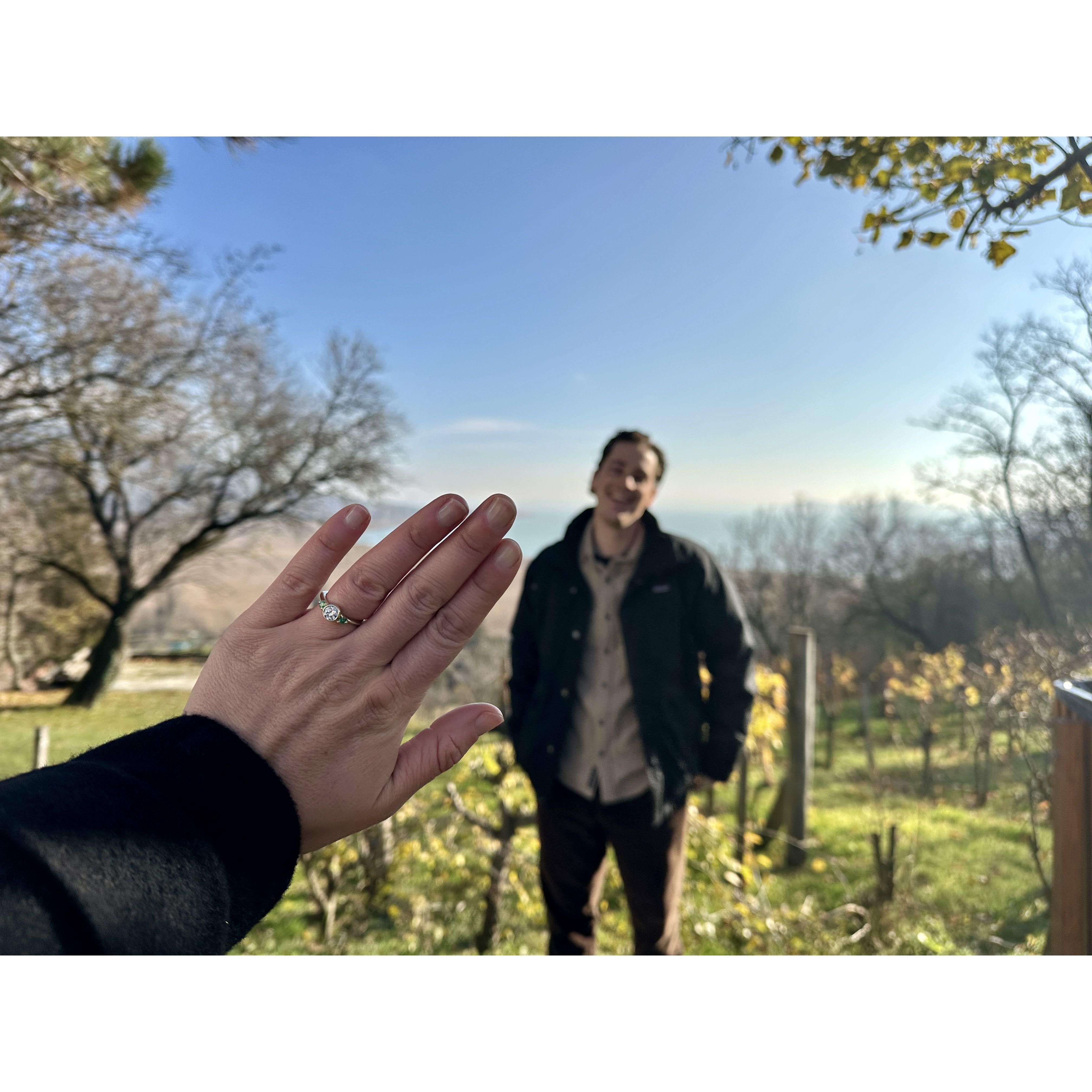 Lake Balaton, November 2024