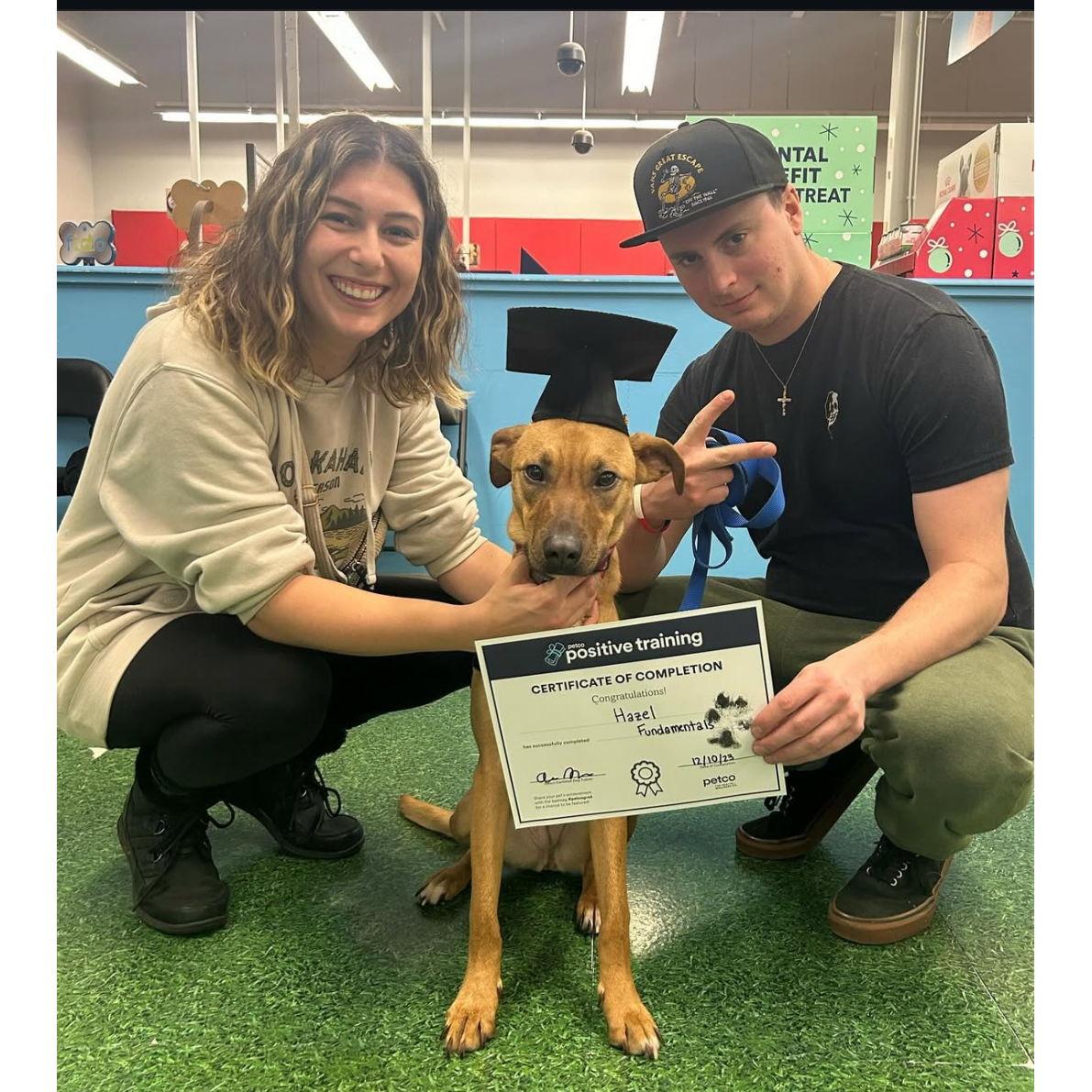 May 2023: Fur baby #1, Hazel.