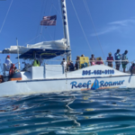 Reef Roamer Catamaran Sail and Snorkel Trips