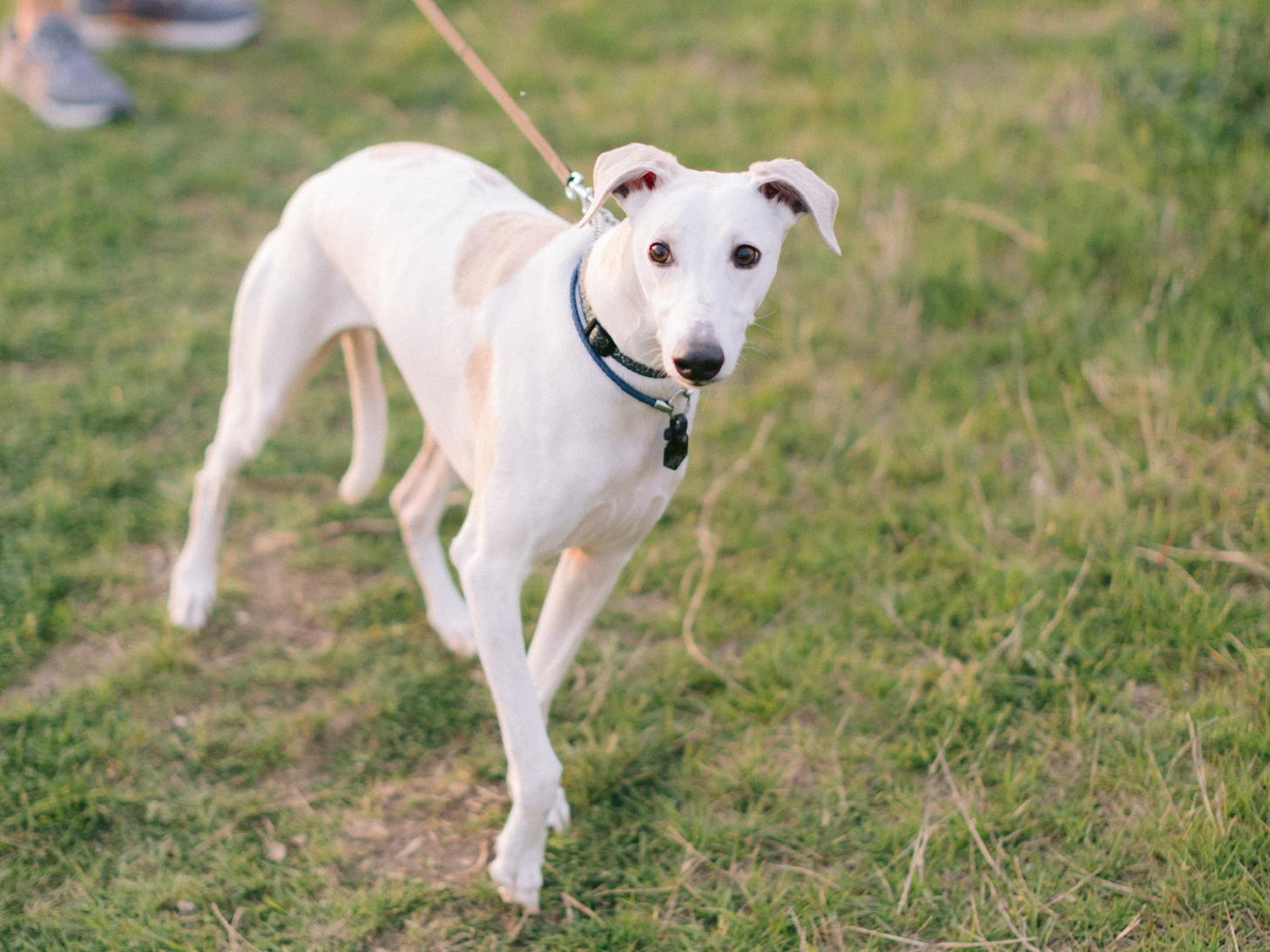 The Wedding Website of Shayna Starr and Tyler Durrin