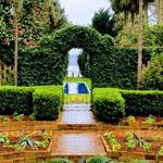 Maclay Gardens
