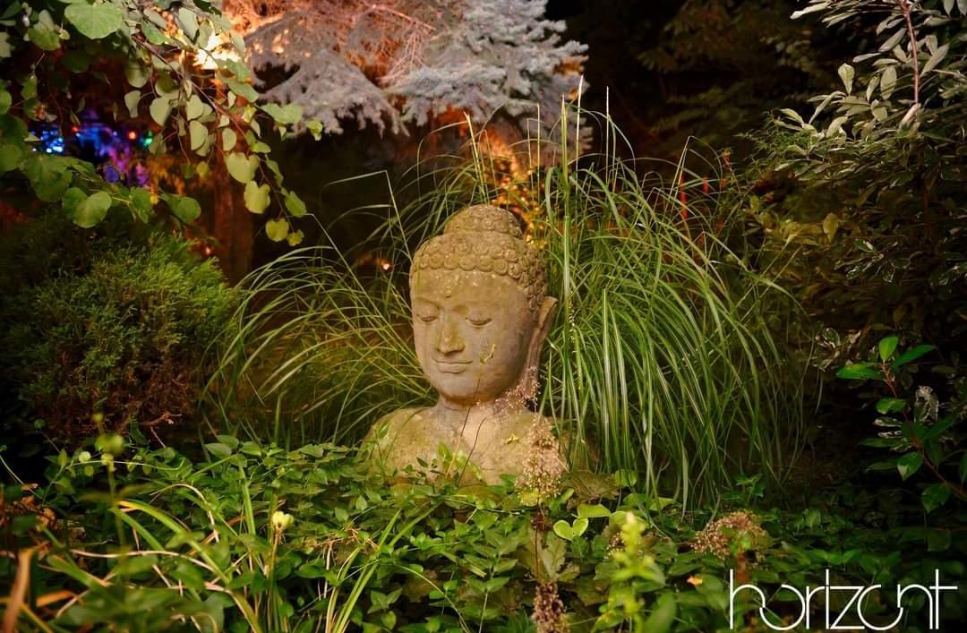 The Wedding Website of Илия Димитров and Таня Павлова