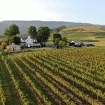 Veritas Vineyards and Winery
