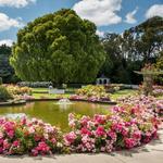 Victoria Esplanade