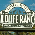 Natural Bridge Wildlife Ranch