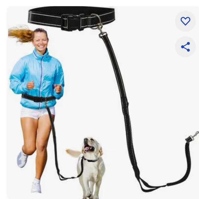 Sporn Run-Together Hands-Free Bungee Comfort Added Features Jogging Belt & Leash, Black, Standard