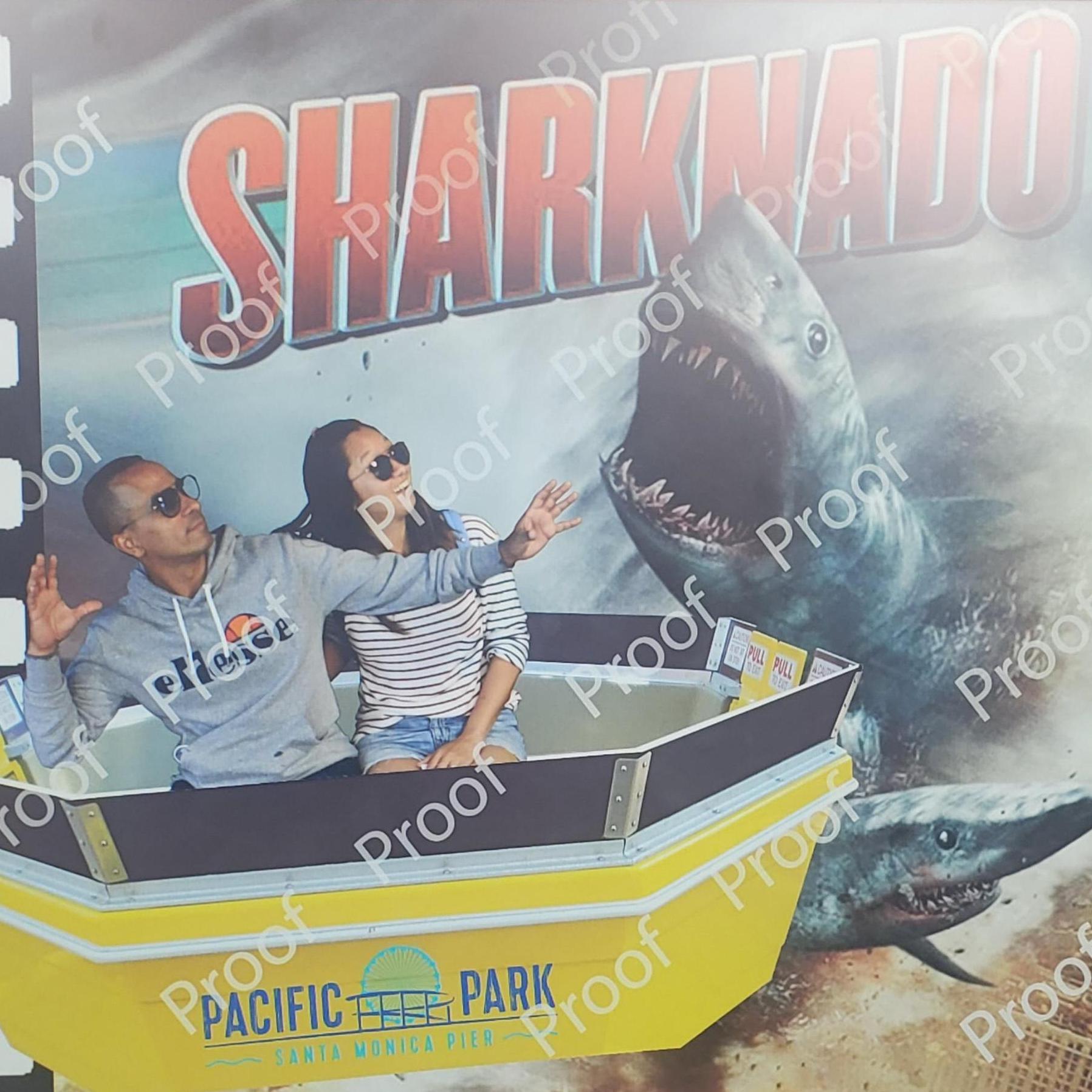 We survived the Sharknado that passed by Santa Monica Pier in 2013.