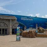 Long Island Aquarium