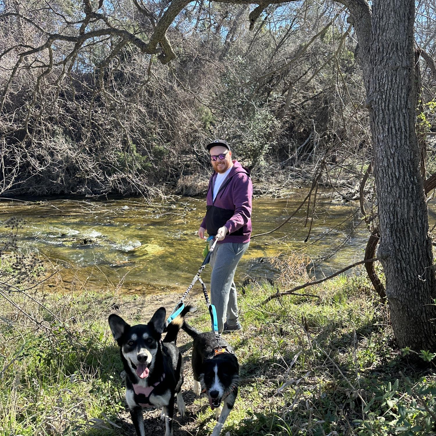 Unlike Zoey, Freyja actually did want a friend. We met Stella at Mount Bonnell with an adoption sign and couldn’t resist! Stella and Freyja now play in the backyard everyday!
