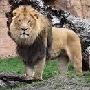 Brookfield Zoo