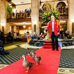 The Peabody Memphis