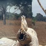 Smithsonian National Zoological Park