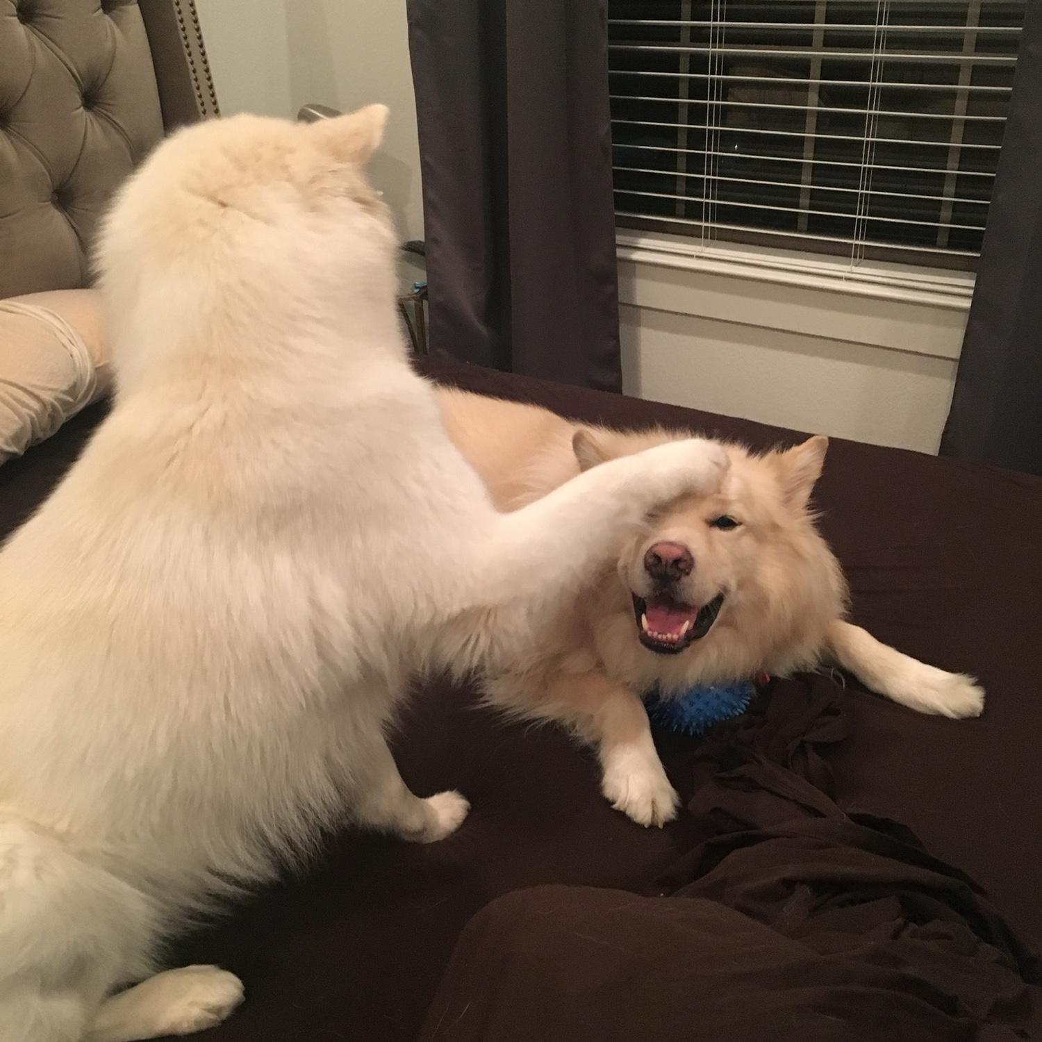 We think they get along ;P