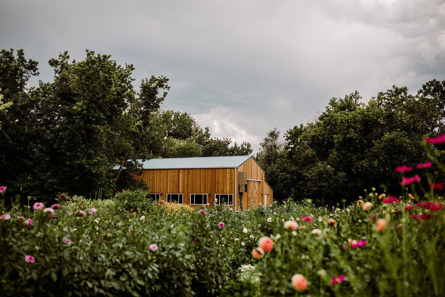 The Wedding Website of Jake Winckowski and Tessa Kettelle