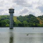 Lafayette Reservoir