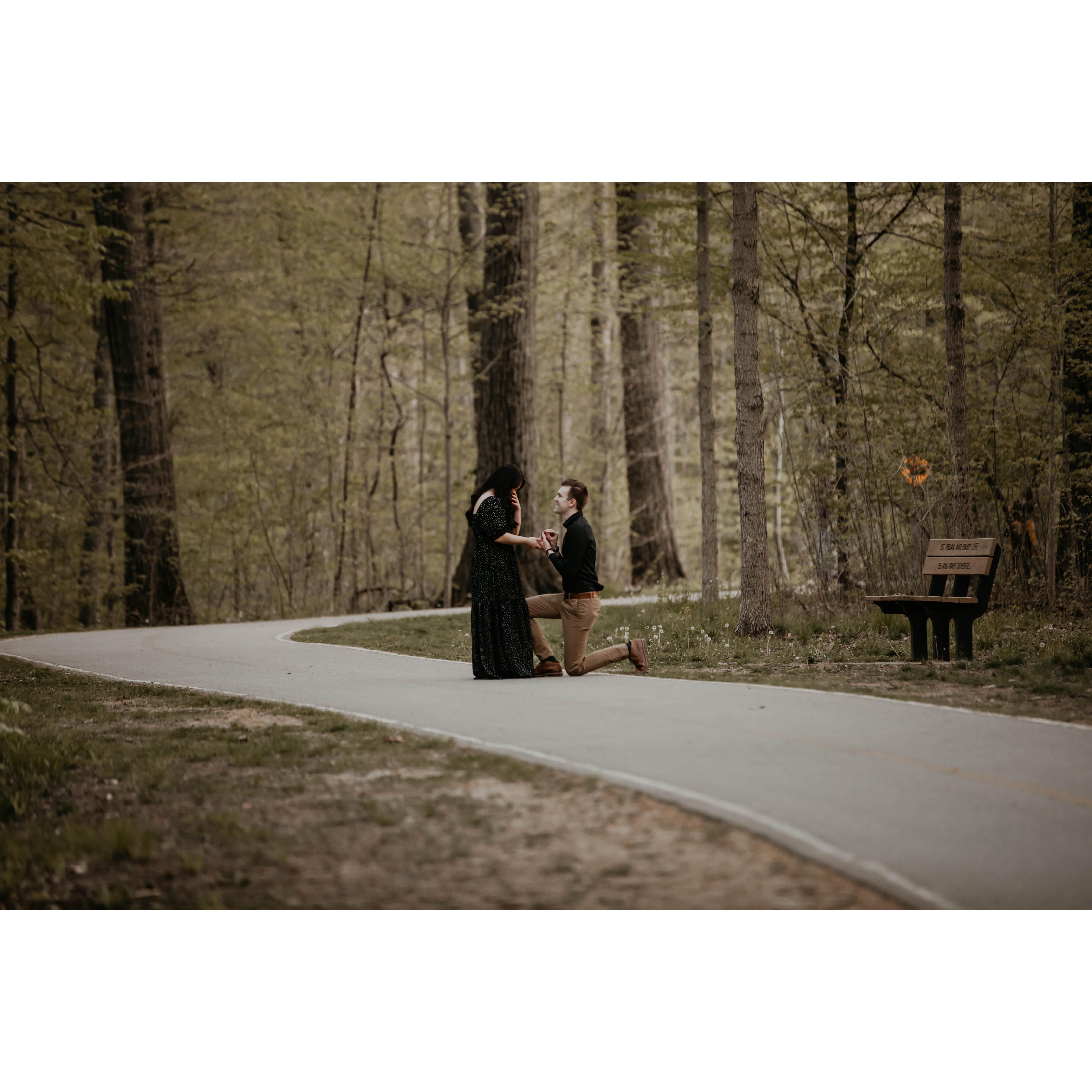 The Proposal