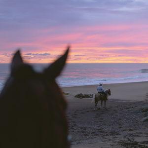 Beach Horseback Riding for 2