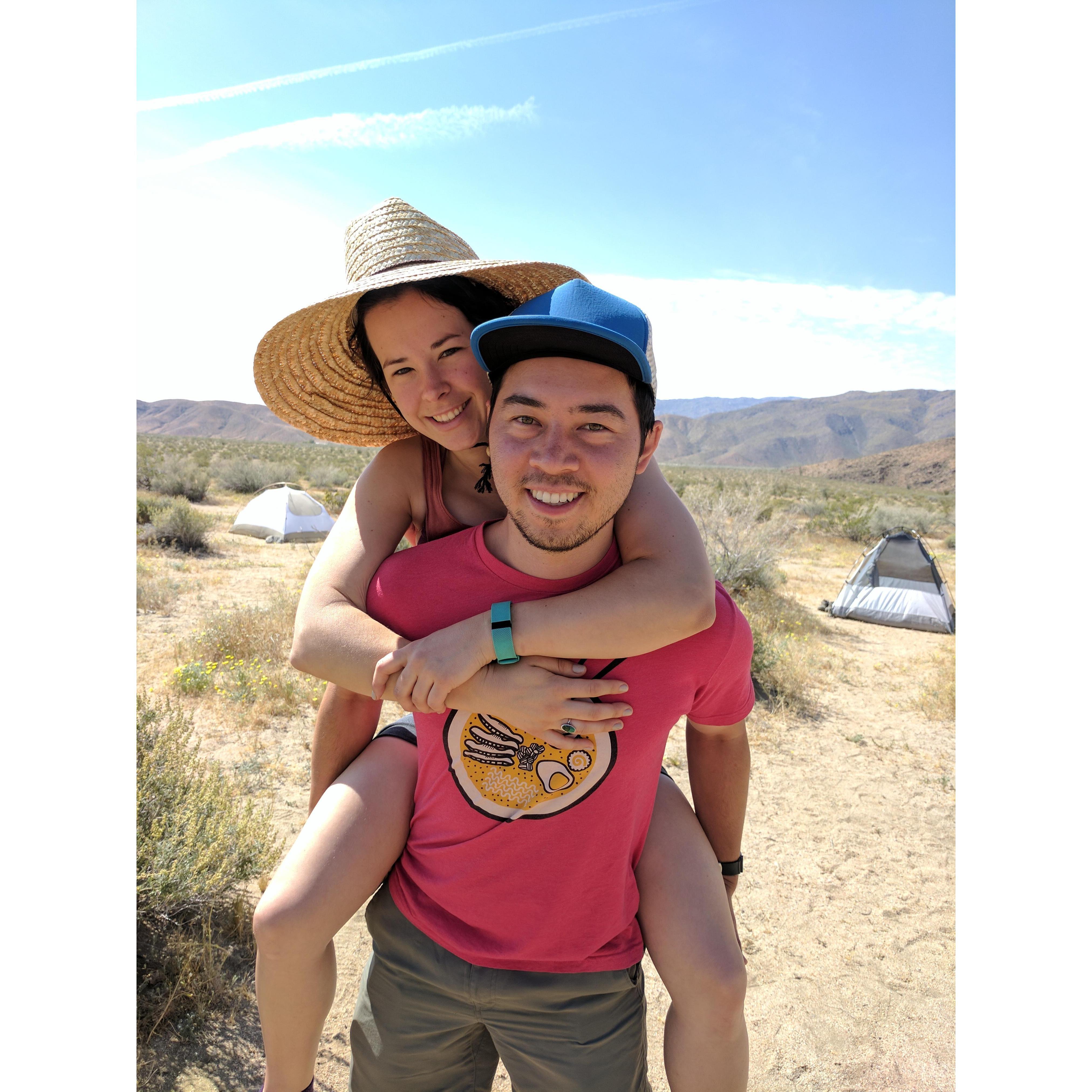 May 2017: Camping trip to Anza Borrego when we just missed the Super Bloom.