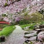 Sarah P. Duke Gardens