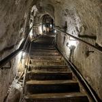 The Cave Store