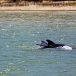 Fort Clinch State Park