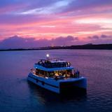 Blue Finn Charters