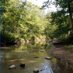 Petrifying Springs Park