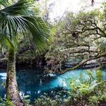 Activities in Nature