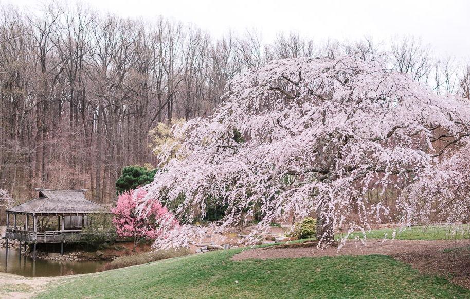 The Wedding Website of Lynne Griffin and Timothy Clune