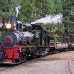Sugar Pine Railroad