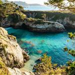 Point Lobos State Natural Reserve