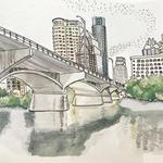 Watch the Congress Avenue Bats at Sunset
