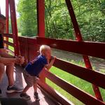 The Holt & Balcom Logging Camp #1