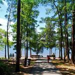 Jetton Park