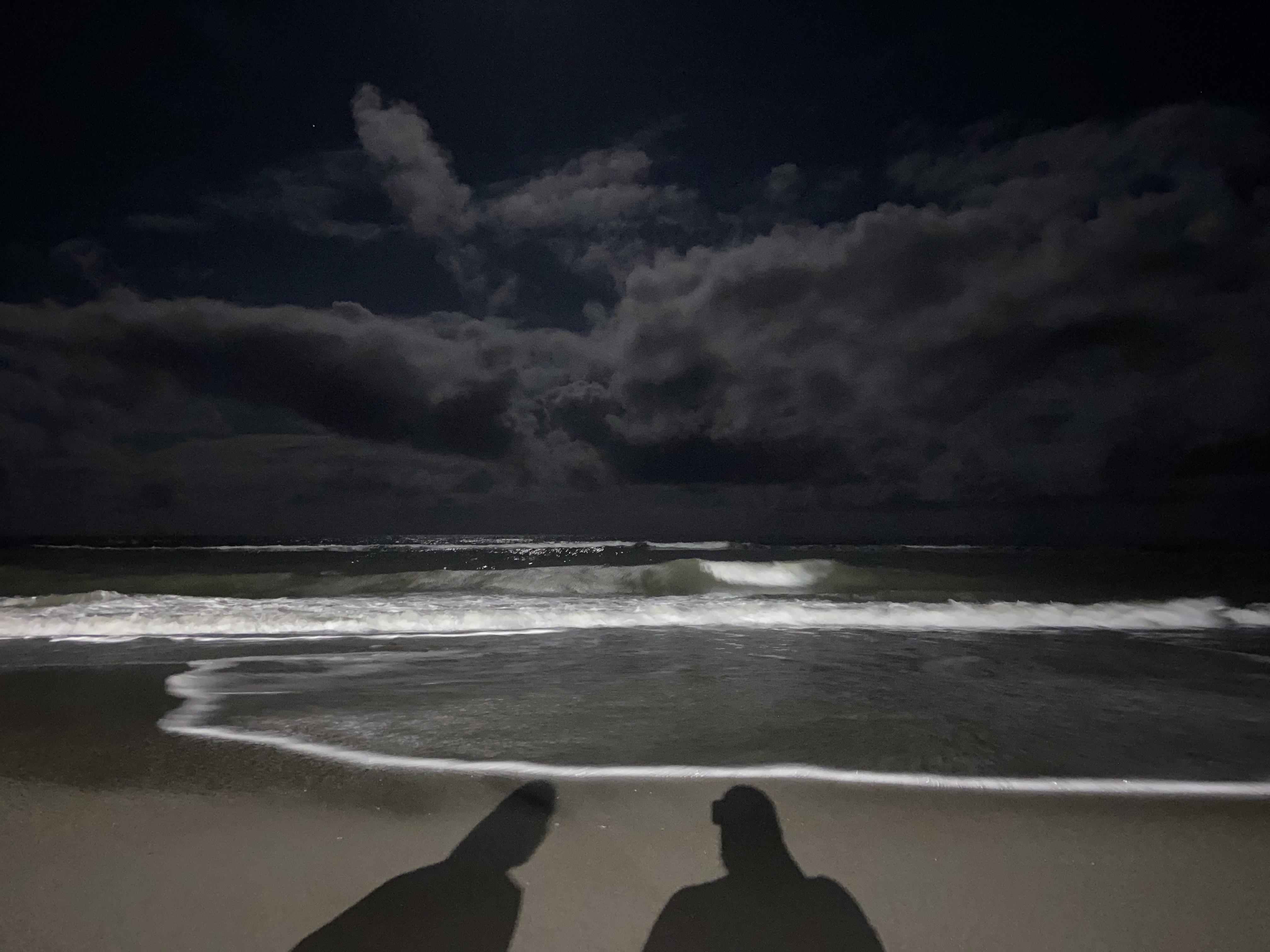 The Wedding Website of Alejandro Gutierrez and Kathryn Allen