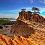 Torrey Pines State Reserve