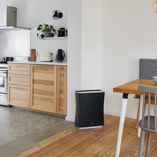 Roger HEPA Air Purifier