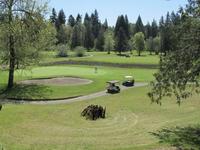 Par Three Golf at Cedars Golf Club