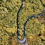 Alpine Loop Scenic Byway