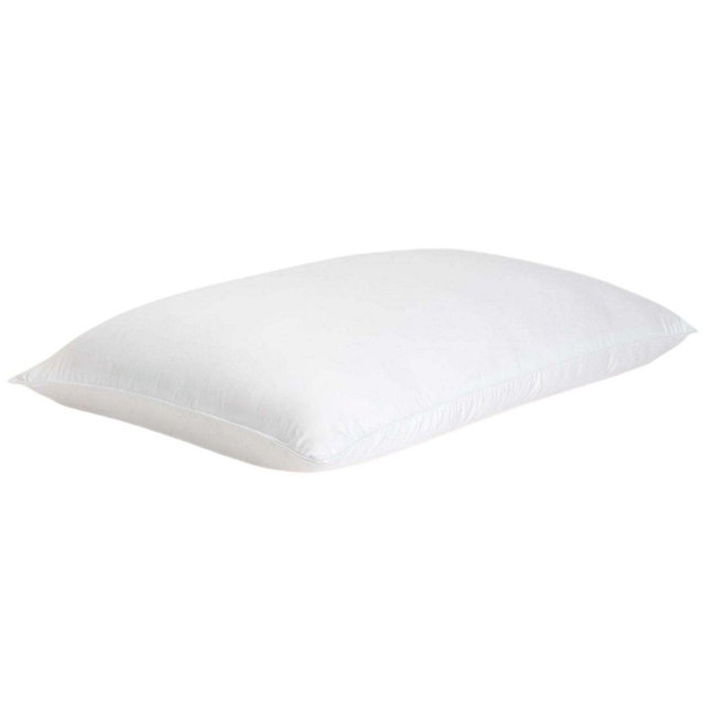 Cozy Earth Silk Pillow, Standard