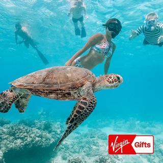 Snorkel with Sea Turtles in Waikiki for 2 - Hawaii
