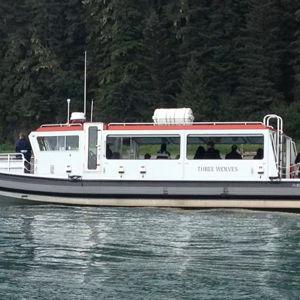 Whale Watching & Seafood Fest